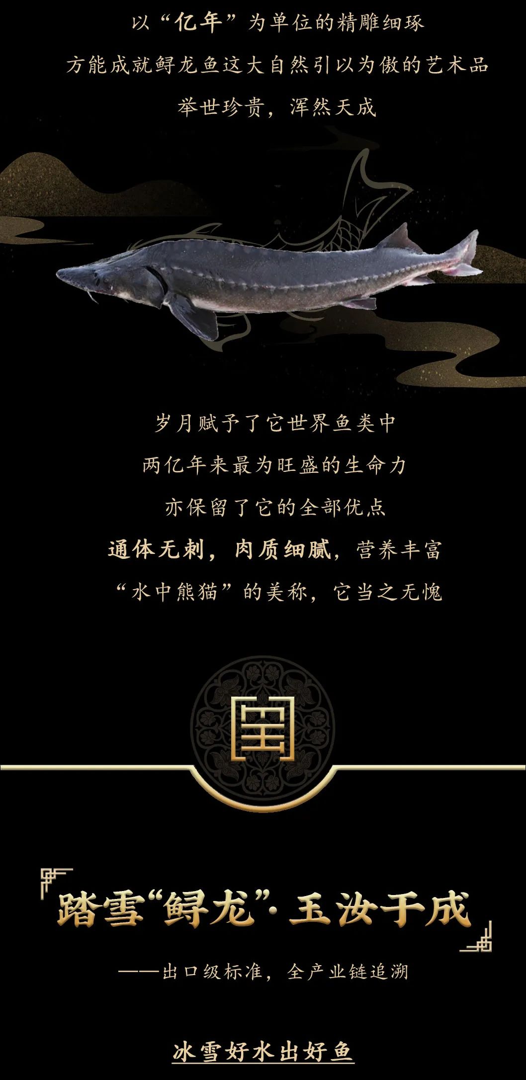 九州鱘龍魚片上新 | 自然臻藏，獻(xiàn)給吃魚有講究的人